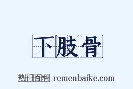 下肢骨是什么意思的图片